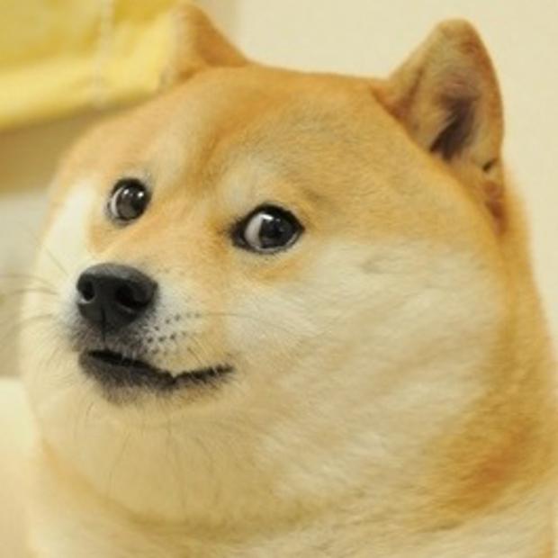 Buff Doge vs Cheems