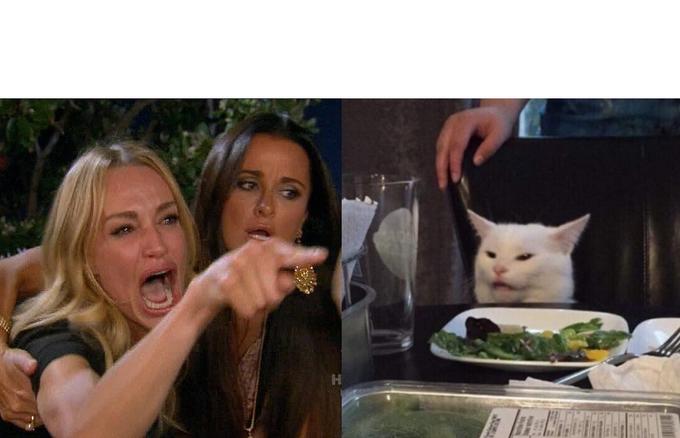 Woman Yelling at Cat